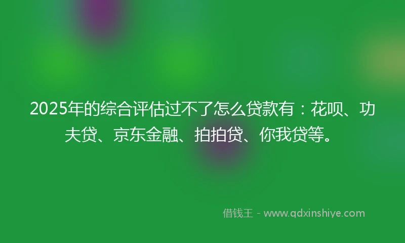 2025年的综合评估过不了怎么贷款有:花呗、功夫贷、京东金融、拍拍贷、你我贷等。