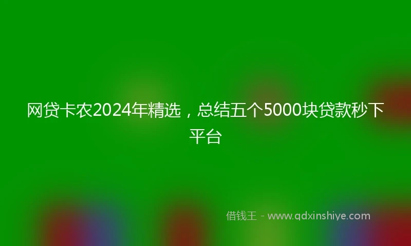网贷卡农2024年精选，总结五个5000块贷款秒下平台