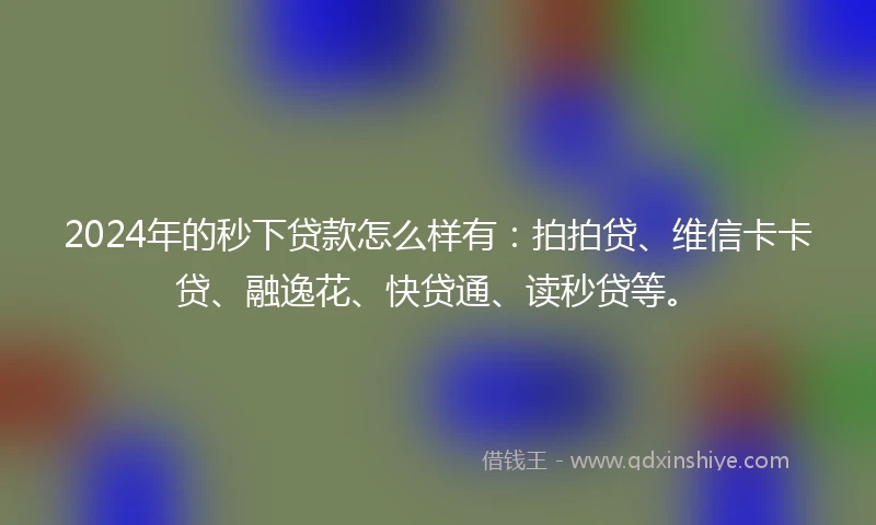 2024年的秒下贷款怎么样有：拍拍贷、维信卡卡贷、融逸花、快贷通、读秒贷等。
