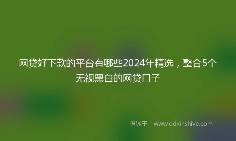 网贷好下款的平台有哪些2024年精选，整合5个无视黑白的网贷口子
