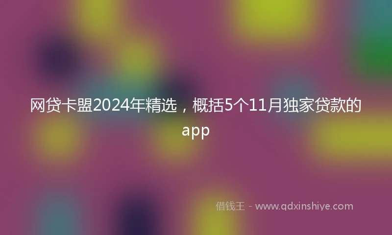 网贷卡盟2024年精选，概括5个11月独家贷款的app