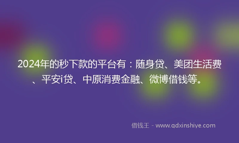 2024年的秒下款的平台有：随身贷、美团生活费、平安i贷、中原消费金融、微博借钱等。