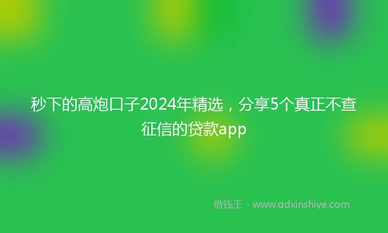 秒下的高炮口子2024年精选，分享5个真正不查征信的贷款app