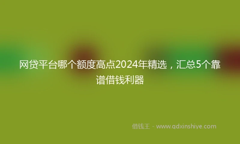 网贷平台哪个额度高点2024年精选，汇总5个靠谱借钱利器