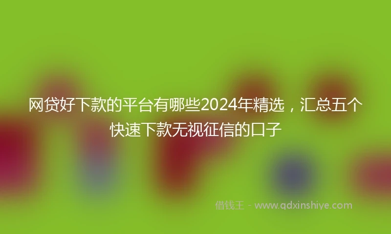 网贷好下款的平台有哪些2024年精选，汇总五个快速下款无视征信的口子
