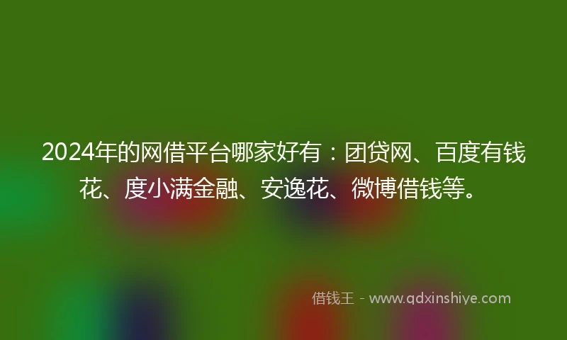 2024年的网借平台哪家好有：团贷网、百度有钱花、度小满金融、安逸花、微博借钱等。