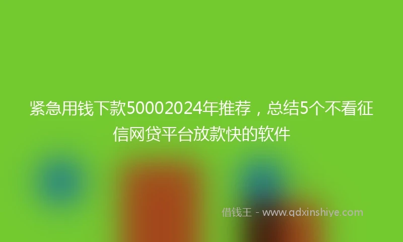 紧急用钱下款50002024年推荐，总结5个不看征信网贷平台放款快的软件