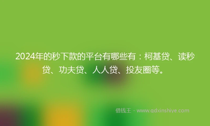2024年的秒下款的平台有哪些有：柯基贷、读秒贷、功夫贷、人人贷、投友圈等。