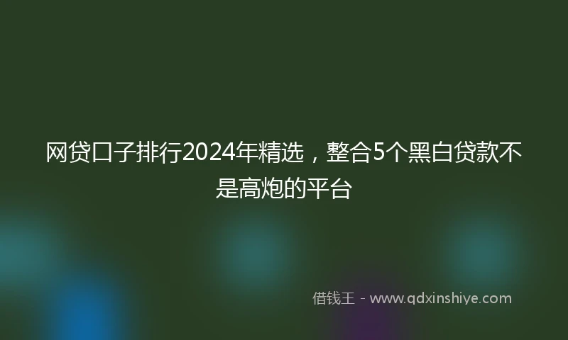 网贷口子排行2024年精选，整合5个黑白贷款不是高炮的平台