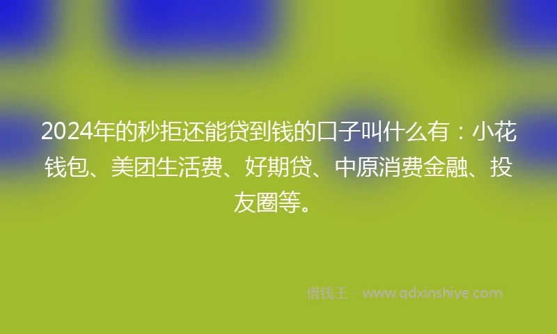 2024年的秒拒还能贷到钱的口子叫什么有：小花钱包、美团生活费、好期贷、中原消费金融、投友圈等。