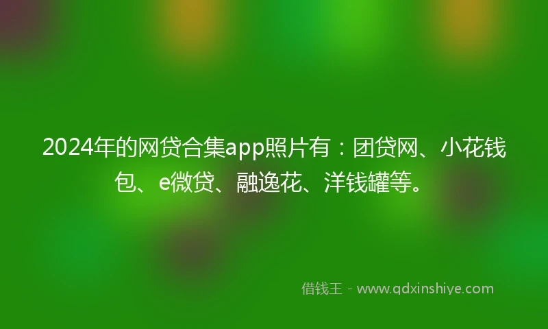 2024年的网贷合集app照片有:团贷网、小花钱包、e微贷、融逸花、洋钱罐等。