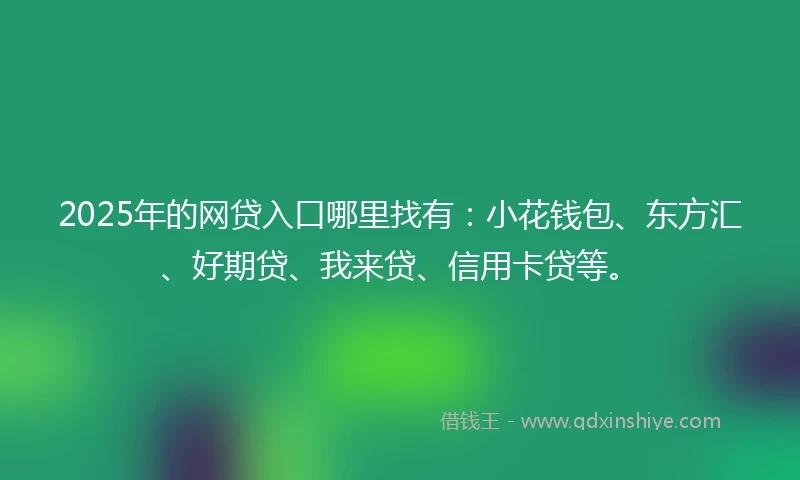 2025年的网贷入口哪里找有：小花钱包、东方汇、好期贷、我来贷、信用卡贷等。