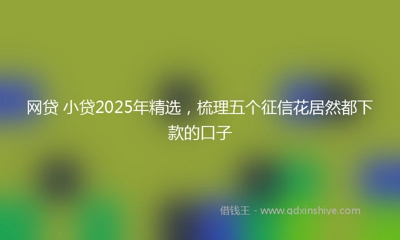网贷 小贷2025年精选，梳理五个征信花居然都下款的口子