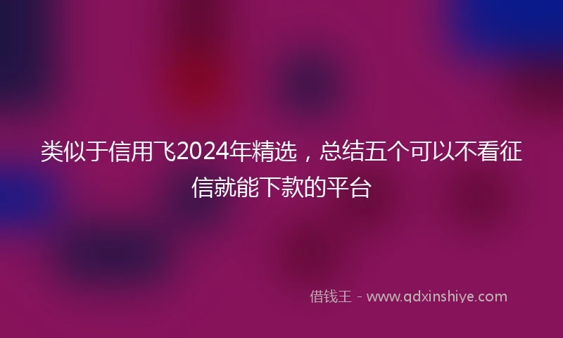 类似于信用飞2024年精选，总结五个可以不看征信就能下款的平台