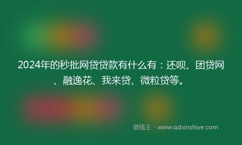 2024年的秒批网贷贷款有什么有：还呗、团贷网、融逸花、我来贷、微粒贷等。