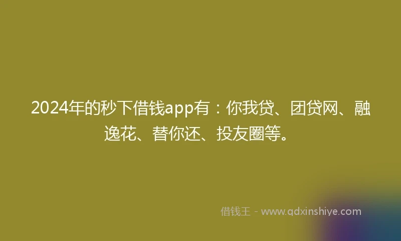 2024年的秒下借钱app有：你我贷、团贷网、融逸花、替你还、投友圈等。
