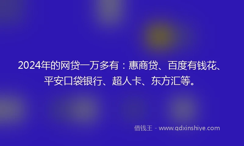 2024年的网贷一万多有：惠商贷、百度有钱花、平安口袋银行、超人卡、东方汇等。
