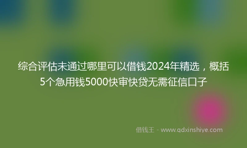 综合评估未通过哪里可以借钱2024年精选，概括5个急用钱5000快审快贷无需征信口子
