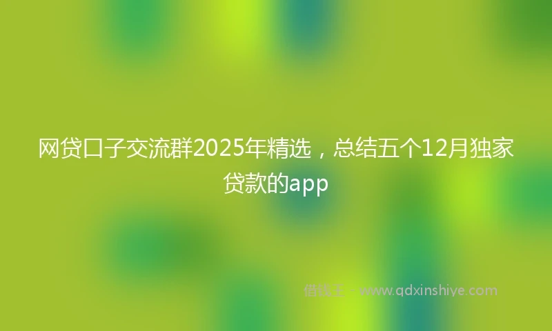 网贷口子交流群2025年精选，总结五个12月独家贷款的app