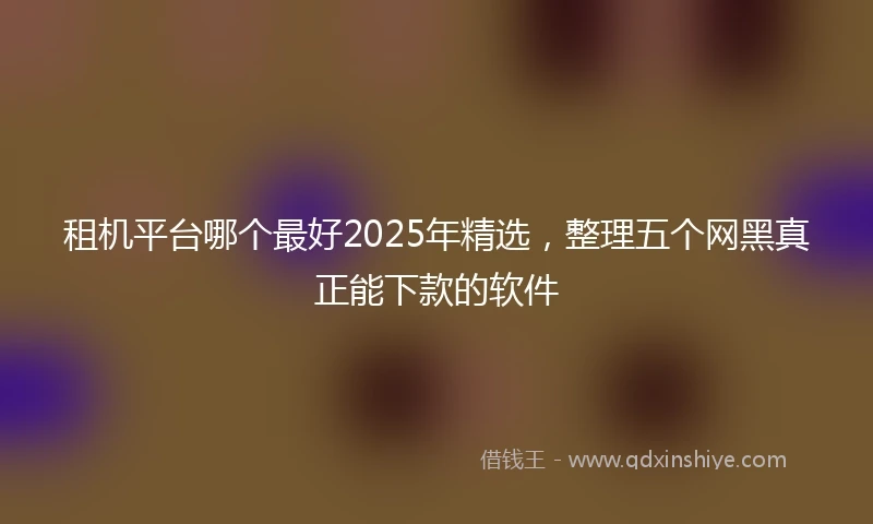 租机平台哪个最好2025年精选，整理五个网黑真正能下款的软件