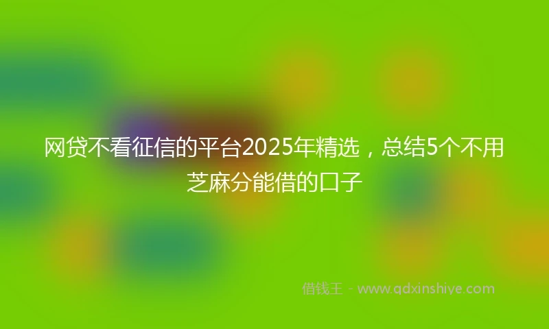 网贷不看征信的平台2025年精选，总结5个不用芝麻分能借的口子