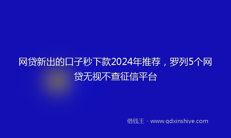 网贷新出的口子秒下款2024年推荐，罗列5个网贷无视不查征信平台