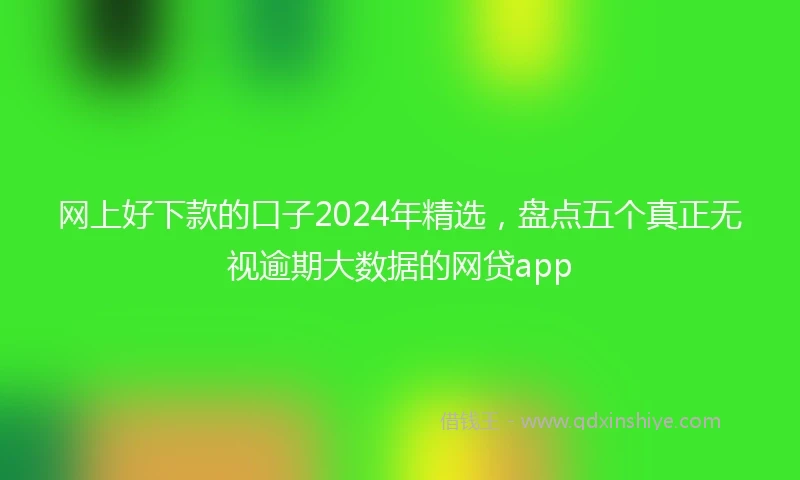 网上好下款的口子2024年精选，盘点五个真正无视逾期大数据的网贷app