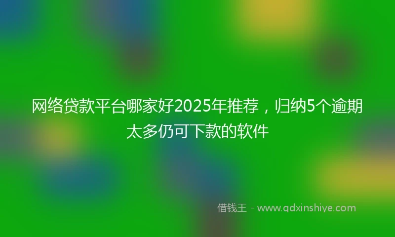 网络贷款平台哪家好2025年推荐，归纳5个逾期太多仍可下款的软件