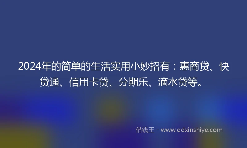2024年的简单的生活实用小妙招有：惠商贷、快贷通、信用卡贷、分期乐、滴水贷等。
