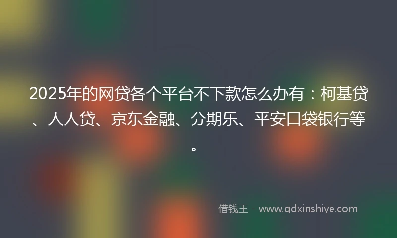 2025年的网贷各个平台不下款怎么办有：柯基贷、人人贷、京东金融、分期乐、平安口袋银行等。