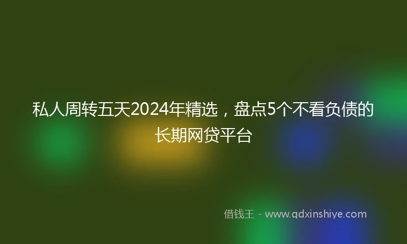 私人周转五天2024年精选，盘点5个不看负债的长期网贷平台