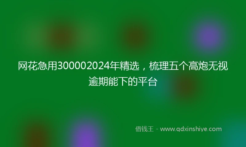 网花急用300002024年精选，梳理五个高炮无视逾期能下的平台