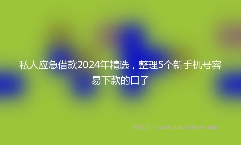 私人应急借款2024年精选，整理5个新手机号容易下款的口子