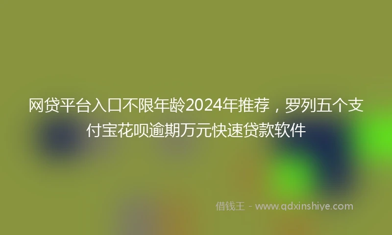 网贷平台入口不限年龄2024年推荐，罗列五个支付宝花呗逾期万元快速贷款软件