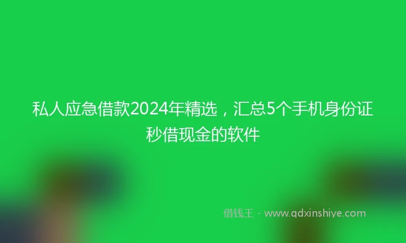 私人应急借款2024年精选，汇总5个手机身份证秒借现金的软件