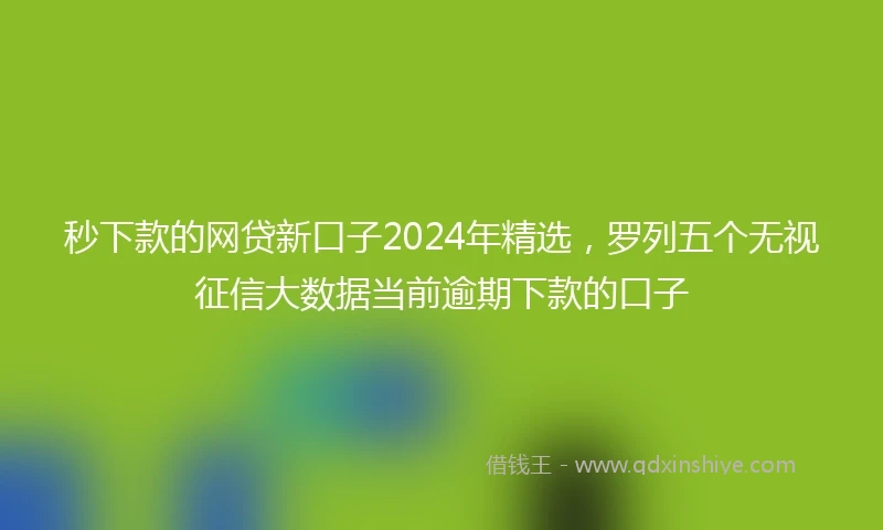 秒下款的网贷新口子2024年精选，罗列五个无视征信大数据当前逾期下款的口子