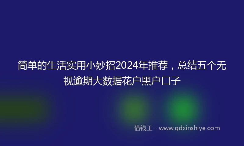 简单的生活实用小妙招2024年推荐，总结五个无视逾期大数据花户黑户口子