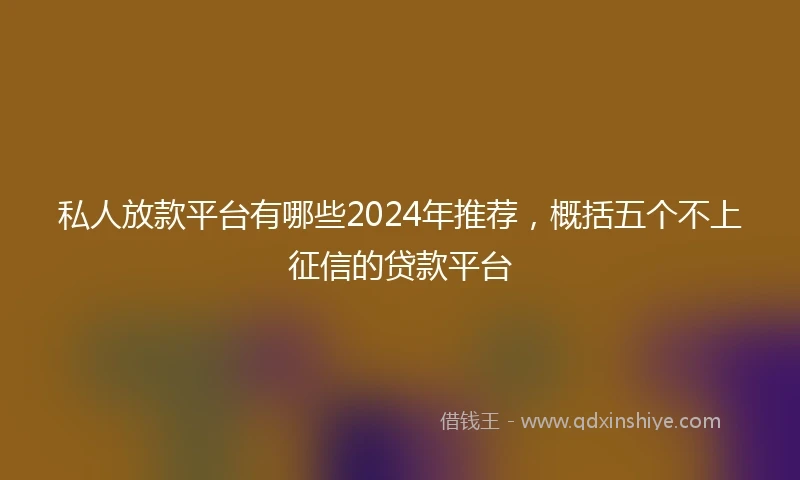 私人放款平台有哪些2024年推荐，概括五个不上征信的贷款平台