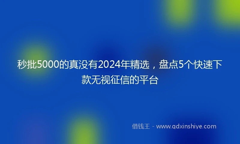 秒批5000的真没有2024年精选，盘点5个快速下款无视征信的平台