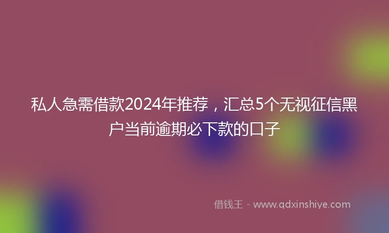 私人急需借款2024年推荐，汇总5个无视征信黑户当前逾期必下款的口子