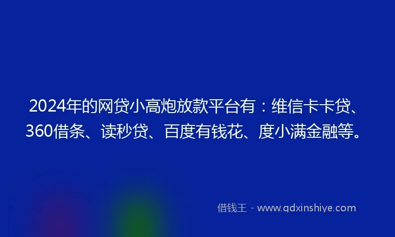 2024年的网贷小高炮放款平台有：维信卡卡贷、360借条、读秒贷、百度有钱花、度小满金融等。
