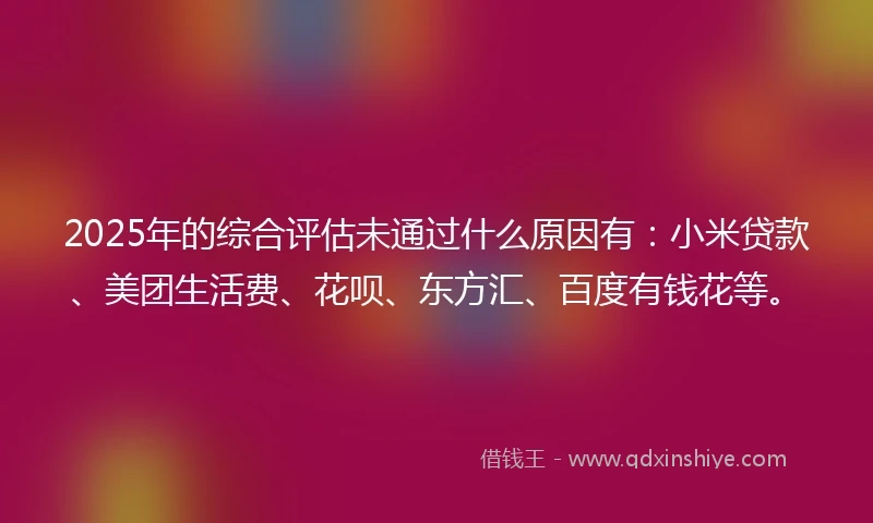 2025年的综合评估未通过什么原因有：小米贷款、美团生活费、花呗、东方汇、百度有钱花等。