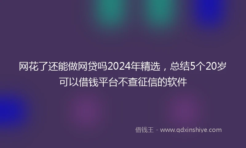 网花了还能做网贷吗2024年精选，总结5个20岁可以借钱平台不查征信的软件
