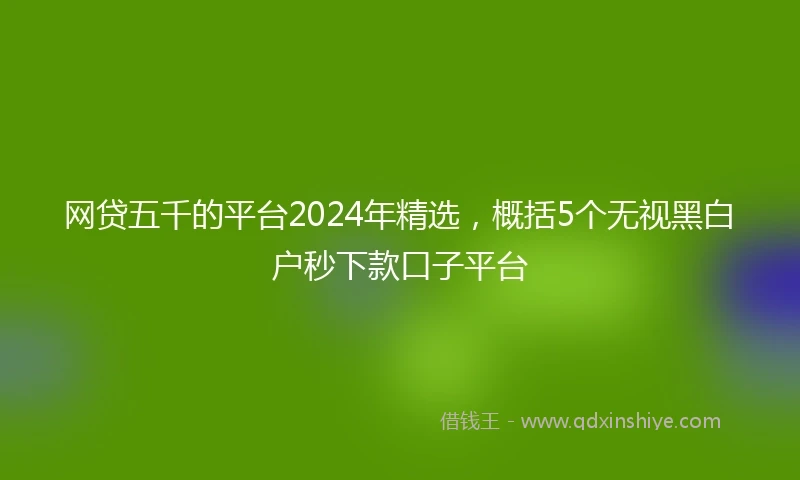 网贷五千的平台2024年精选，概括5个无视黑白户秒下款口子平台