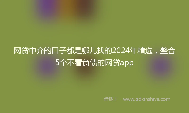 网贷中介的口子都是哪儿找的2024年精选，整合5个不看负债的网贷app