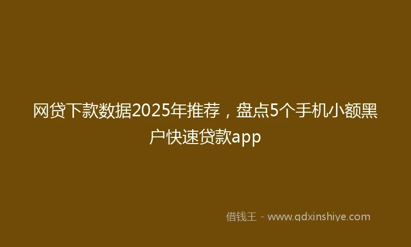 网贷下款数据2025年推荐，盘点5个手机小额黑户快速贷款app