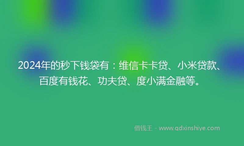 2024年的秒下钱袋有：维信卡卡贷、小米贷款、百度有钱花、功夫贷、度小满金融等。