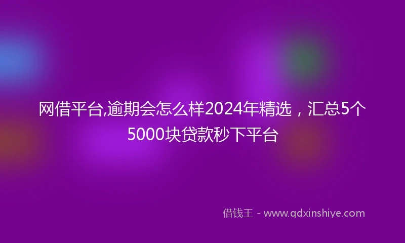 网借平台,逾期会怎么样2024年精选，汇总5个5000块贷款秒下平台