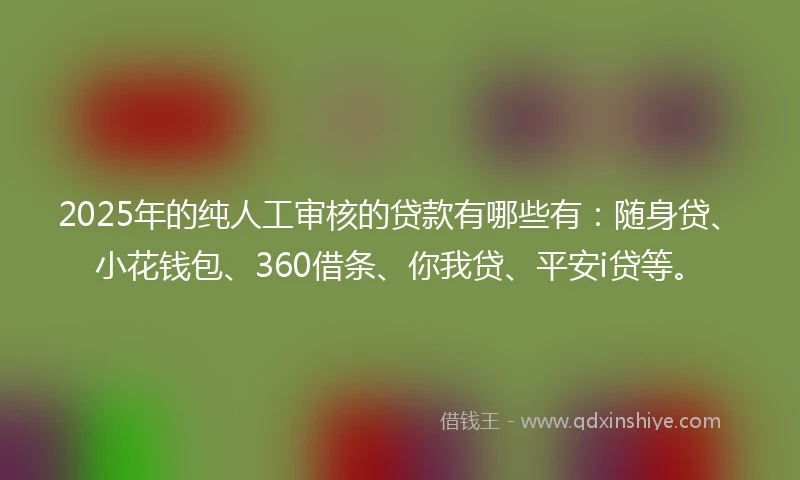 2025年的纯人工审核的贷款有哪些有：随身贷、小花钱包、360借条、你我贷、平安i贷等。
