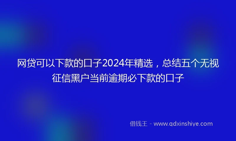 网贷可以下款的口子2024年精选，总结五个无视征信黑户当前逾期必下款的口子